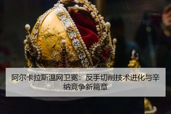 a-er-ka-la-si-wen-wang-wei-mian-fan-shou-qie-xiao-ji-shu-jin-hua-yu-xin-na-jing-zheng-xin-pian-zhang-3-191.jpg