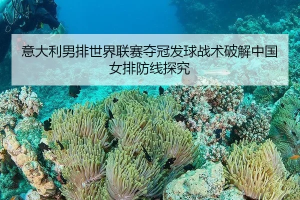 意大利男排世界联赛夺冠发球战术破解中国女排防线探究