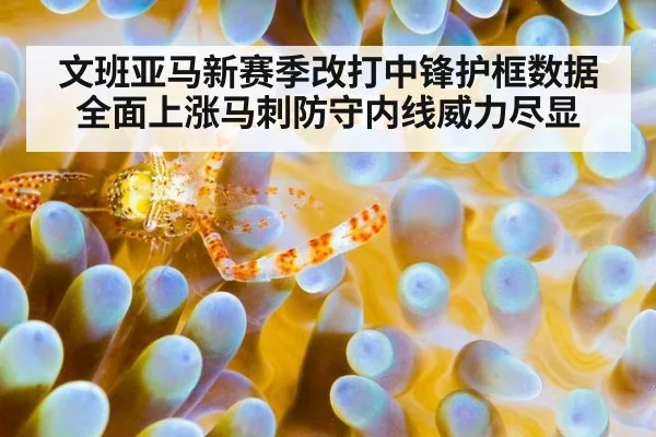 文班亚马新赛季改打中锋护框数据全面上涨马刺防守内线威力尽显